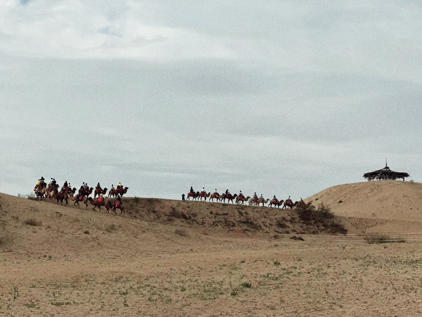 desert-of-yinchuan.JPG